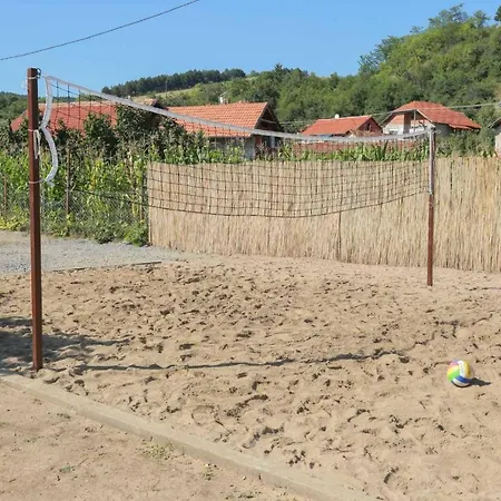 Viktori *