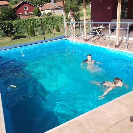 Viktori Bed & Breakfast Pirot