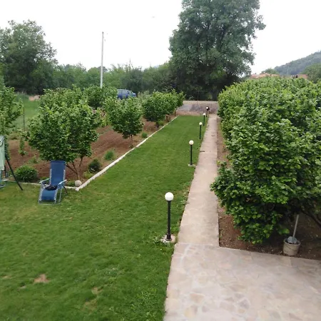 Viktori Pirot
