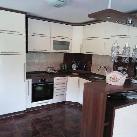 Bed & Breakfast Viktori Pirot