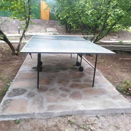 Viktori * Pirot