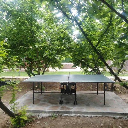 Viktori * Pirot