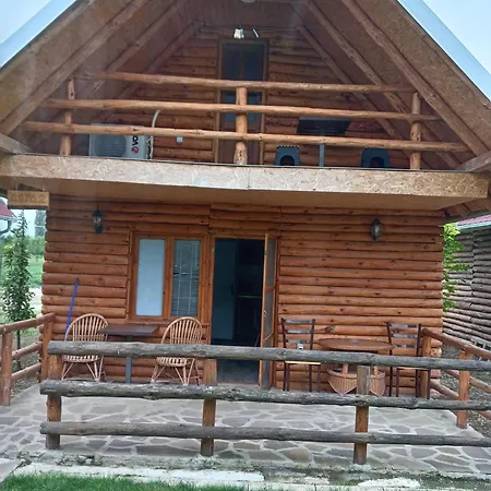 Viktori *