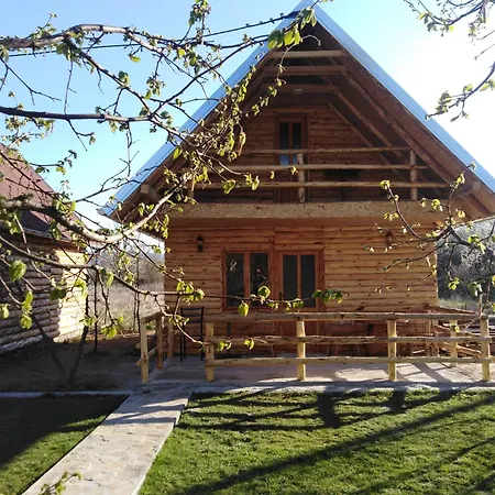 Viktori